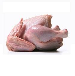 بوقلمون گرم